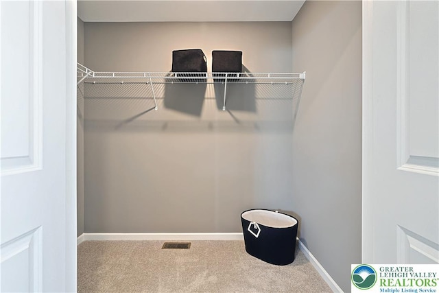 3220 Eisenhower Dr, Allen Twp, PA 18067 - spacious closet featuring carpet flooring