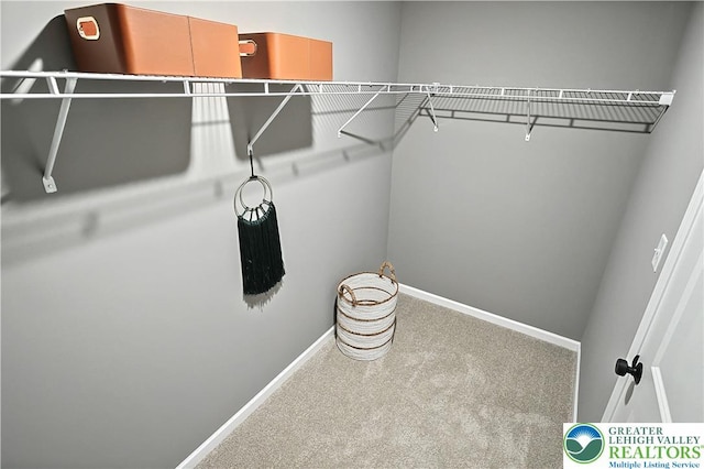 3220 Eisenhower Dr, Allen Twp, PA 18067 - walk in closet featuring carpet