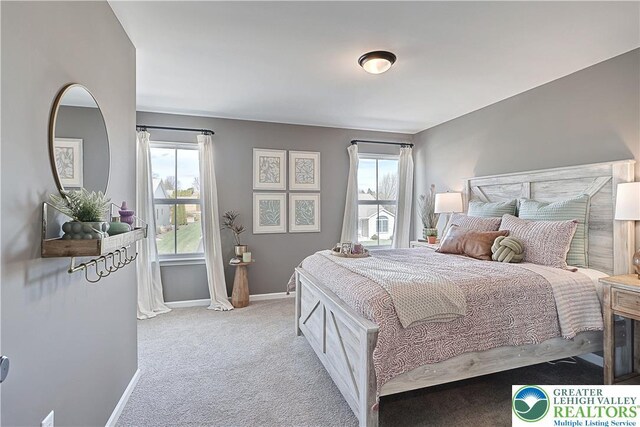 3220 Eisenhower Dr, Allen Twp, PA 18067 - carpeted bedroom featuring multiple windows