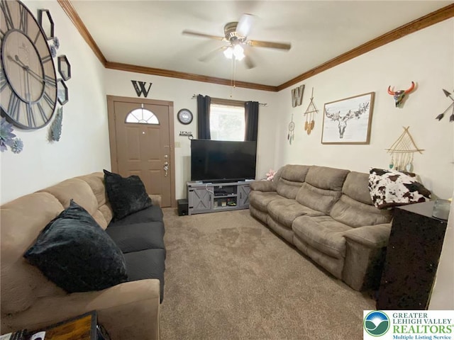 1139 Jackson St, Easton, PA 18042 - living room featuring carpet, ceiling fan, and crown molding