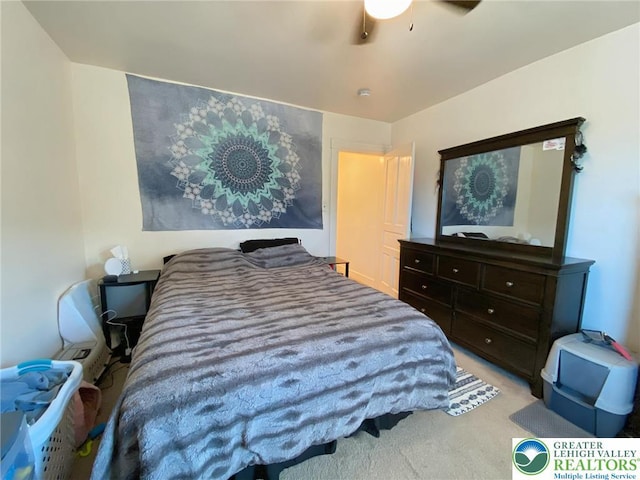 1139 Jackson St, Easton, PA 18042 - bedroom featuring carpet floors and ceiling fan
