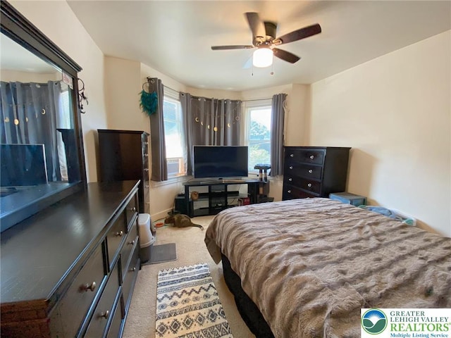 1139 Jackson St, Easton, PA 18042 - carpeted bedroom with ceiling fan
