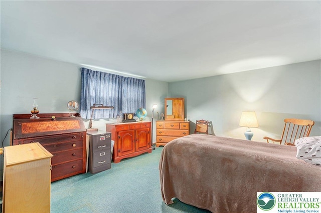 2560 Community Dr, Moore Twp, PA 18014 - view of carpeted bedroom