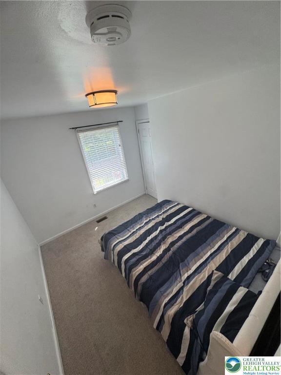4410 Greenfield Rd, Hanover Twp, PA 18017 - bedroom with carpet flooring