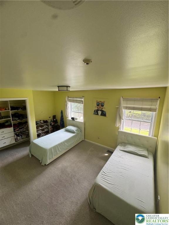 4410 Greenfield Rd, Hanover Twp, PA 18017 - bedroom with carpet and baseboards