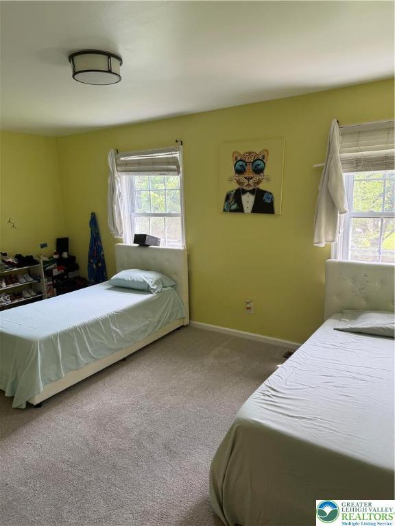 4410 Greenfield Rd, Hanover Twp, PA 18017 - carpeted bedroom with baseboards