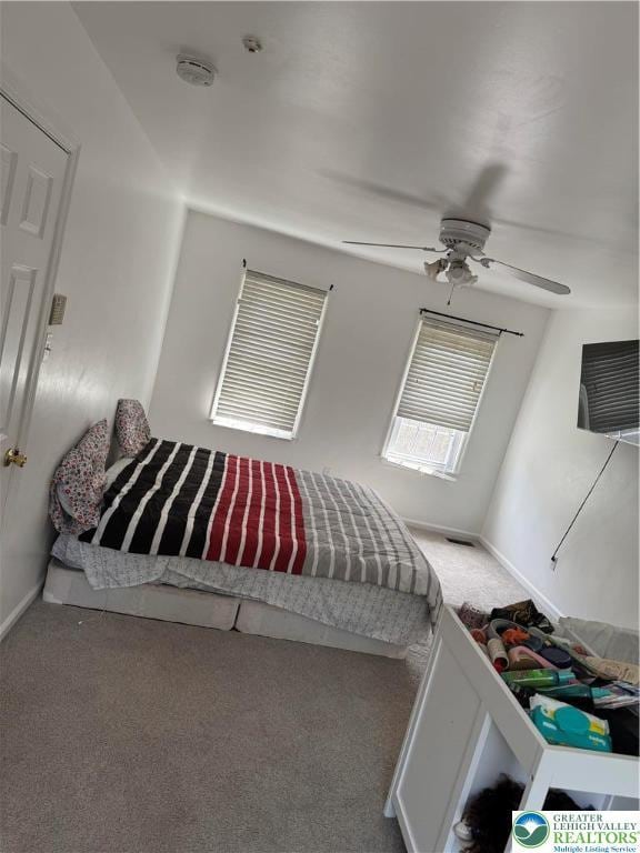4410 Greenfield Rd, Hanover Twp, PA 18017 - bedroom with carpet and ceiling fan
