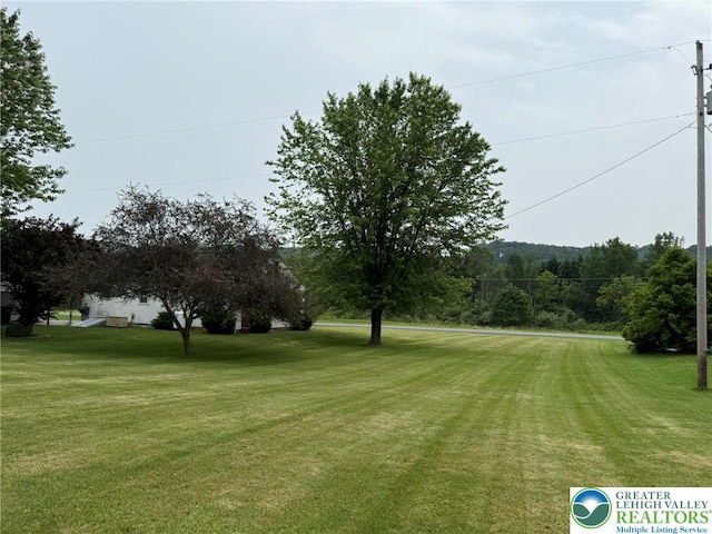 619 Penn Dr, West Penn Twp, PA 18252 - view of green lawn