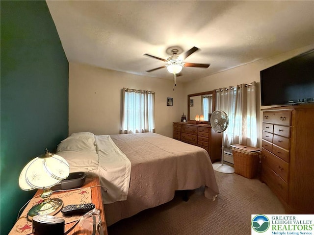 619 Penn Dr, West Penn Twp, PA 18252 - bedroom with a baseboard radiator, carpet flooring, and a ceiling fan