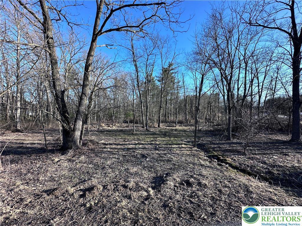 Walnut Dr, Lehigh Twp, PA 18038 - view of yard featuring a forest view