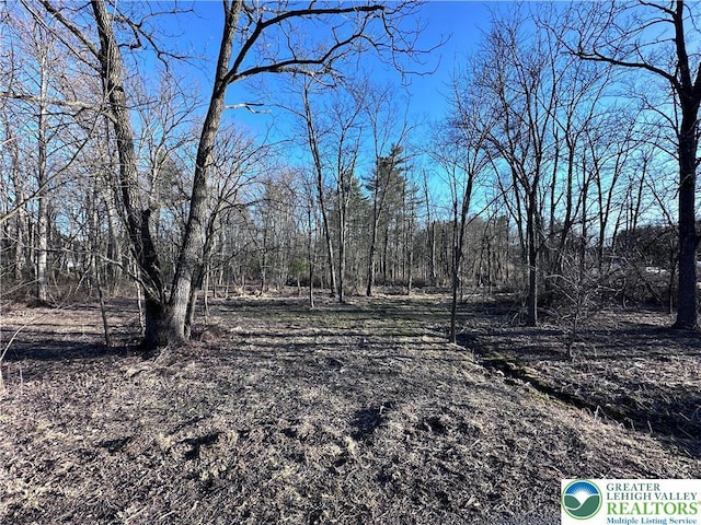 Walnut Dr, Lehigh Twp, PA 18038 - view of yard featuring a forest view