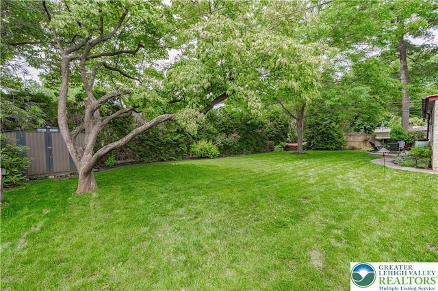 326 N Main St, Allentown City, PA 18104 - view of yard featuring a shed