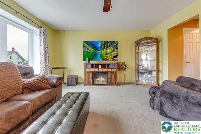 617 Lehigh Gap St, Walnutport Boro, PA 18088 - carpeted living area featuring a glass covered fireplace