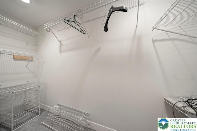 20 N 3rd St, Coplay Boro, PA 18037 - walk in closet with carpet floors