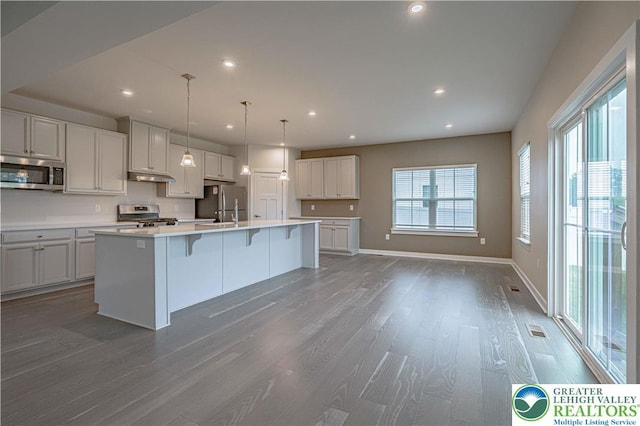 3610 Sweet Meadow Ct, Macungie Boro, PA 18062 - kitchen featuring appliances with stainless steel finishes, wood finished floors, an island with sink, light countertops, and recessed lighting