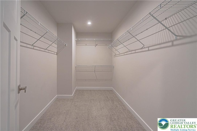 3610 Sweet Meadow Ct, Macungie Boro, PA 18062 - walk in closet with carpet floors