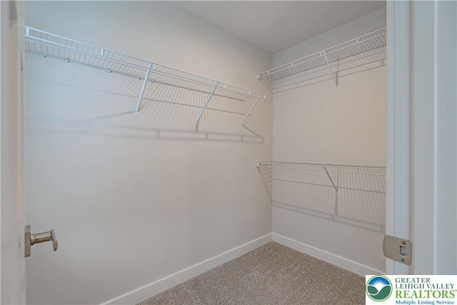 3610 Sweet Meadow Ct, Macungie Boro, PA 18062 - spacious closet with carpet floors