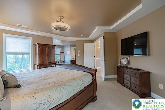 6532 Forest Knoll Ct, Upper Macungie Twp, PA 18106 - bedroom with a raised ceiling and light carpet
