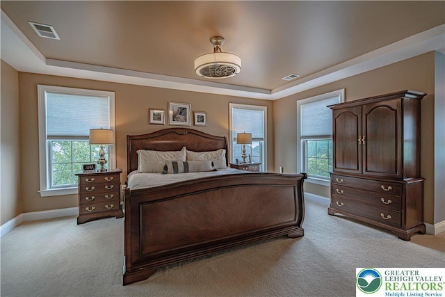 6532 Forest Knoll Ct, Upper Macungie Twp, PA 18106 - bedroom with carpet floors and a raised ceiling