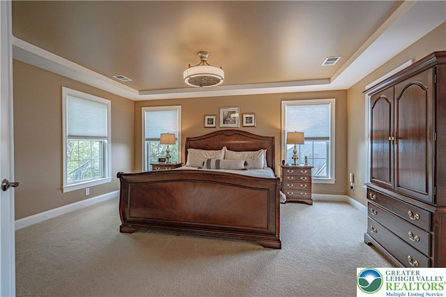 6532 Forest Knoll Ct, Upper Macungie Twp, PA 18106 - bedroom featuring a raised ceiling and light carpet