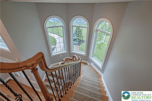 6532 Forest Knoll Ct, Upper Macungie Twp, PA 18106 - stairway featuring plenty of natural light and wood finished floors
