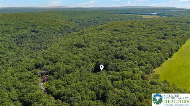 197 Broad Mountain View Dr, Penn Forest Twp, PA 18229 - aerial view of a forest