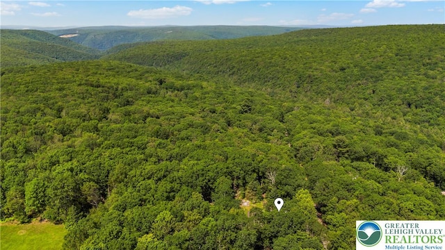 197 Broad Mountain View Dr, Penn Forest Twp, PA 18229 - bird's eye view of a heavily wooded area