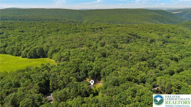 197 Broad Mountain View Dr, Penn Forest Twp, PA 18229 - bird's eye view of a heavily wooded area