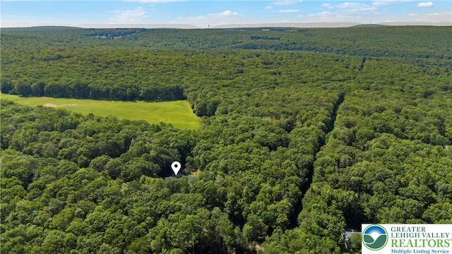197 Broad Mountain View Dr, Penn Forest Twp, PA 18229 - bird's eye view of a forest