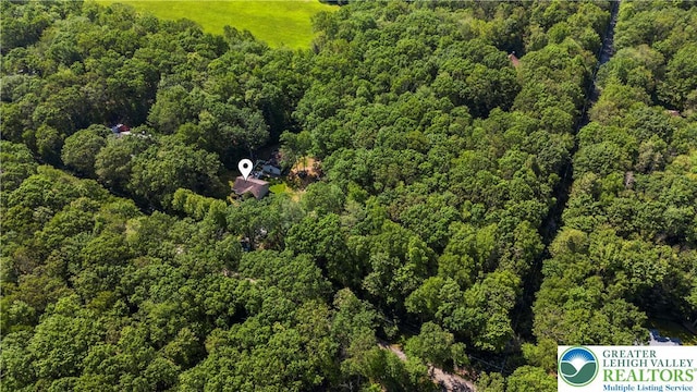 197 Broad Mountain View Dr, Penn Forest Twp, PA 18229 - aerial view of a forest