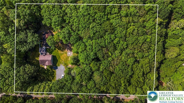 197 Broad Mountain View Dr, Penn Forest Twp, PA 18229 - aerial view of property's location featuring property boundaries highlighted