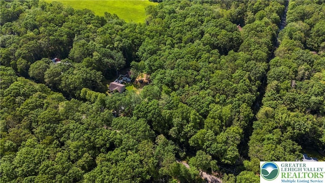 197 Broad Mountain View Dr, Penn Forest Twp, PA 18229 - drone / aerial view of a forest
