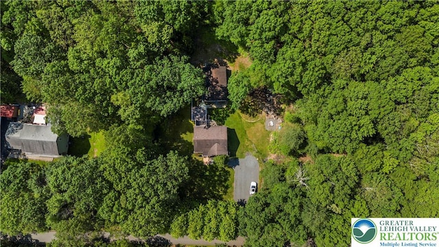 197 Broad Mountain View Dr, Penn Forest Twp, PA 18229 - aerial view of property's location