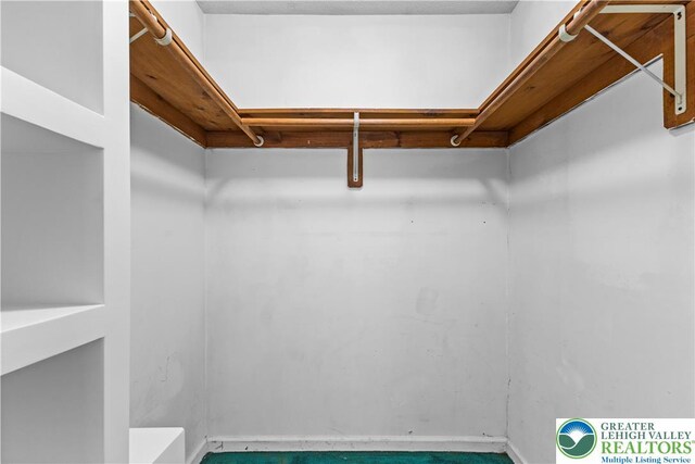 197 Broad Mountain View Dr, Penn Forest Twp, PA 18229 - view of spacious closet