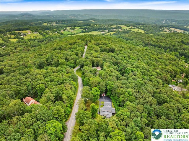 218 Evergreen Ct, Ross Twp, PA 18353 - photo 10