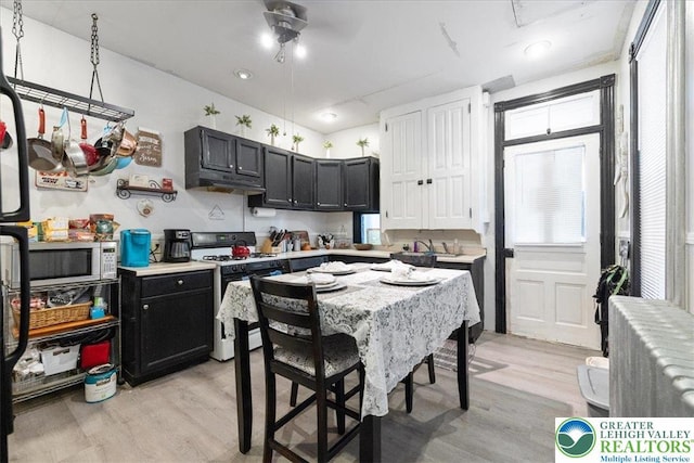519 N 8th St, Allentown City, PA 18102 - kitchen featuring white gas range oven, light wood-style flooring, light countertops, and dark cabinetry