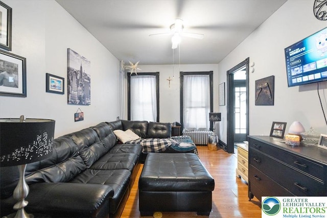 519 N 8th St, Allentown City, PA 18102 - living area featuring wood finished floors, a ceiling fan, and radiator