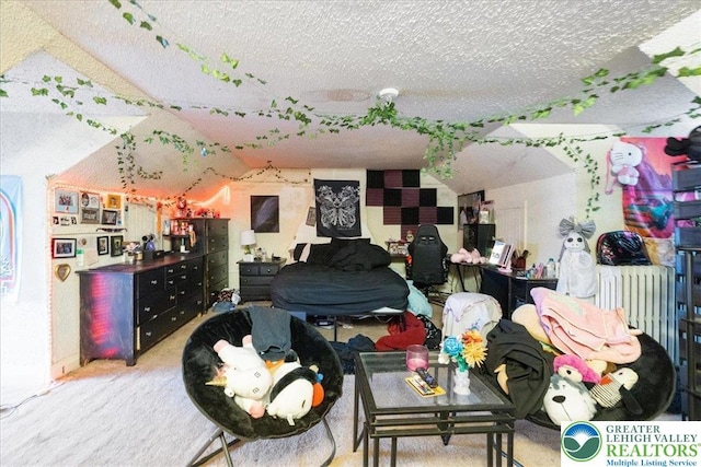 519 N 8th St, Allentown City, PA 18102 - bedroom with vaulted ceiling and a textured ceiling