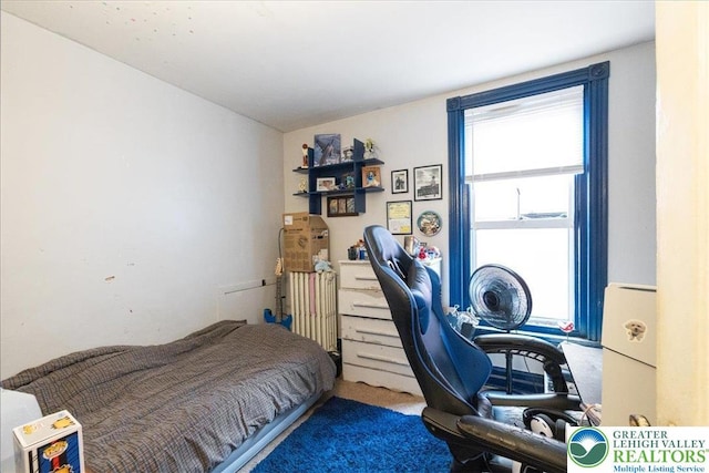 519 N 8th St, Allentown City, PA 18102 - bedroom with radiator and carpet