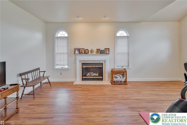 634 Country Club Rd, Easton, PA 18045 - living area featuring light wood finished floors and a glass covered fireplace