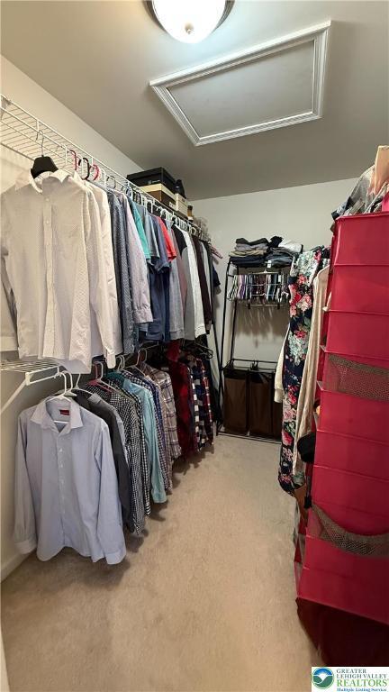 102 Gray Dr, Allen Twp, PA 18067 - spacious closet featuring carpet floors and attic access