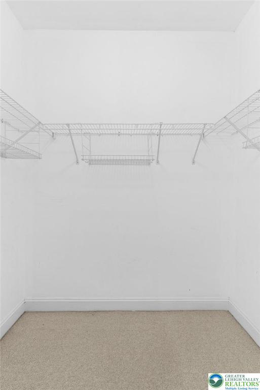 1883 Gregory Pl, Lower Saucon Twp, PA 18055 - spacious closet with light colored carpet