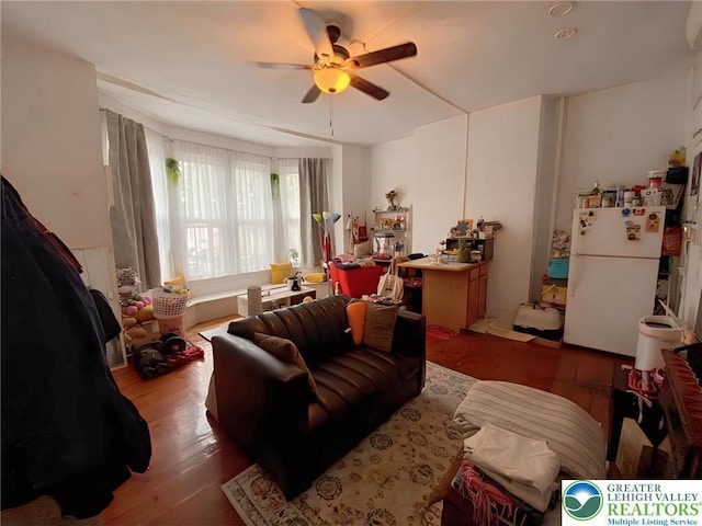 209 Northampton St, Easton, PA 18042 - living room with ceiling fan and wood finished floors