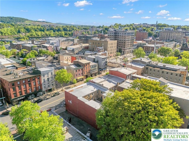 209 Northampton St, Easton, PA 18042 - view of urban area