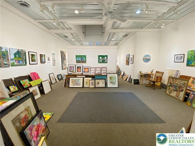 209 Northampton St, Easton, PA 18042 - playroom featuring track lighting, carpet, and ceiling fan