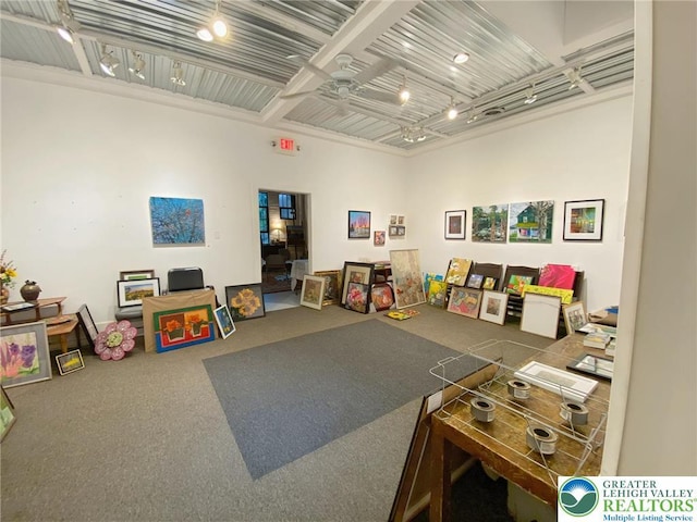 209 Northampton St, Easton, PA 18042 - playroom featuring ceiling fan, carpet, and track lighting