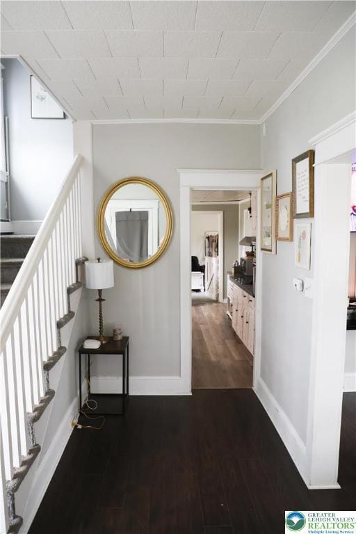 5242 3rd St, Whitehall Twp, PA 18052 - corridor with ornamental molding, dark wood-type flooring, and stairway