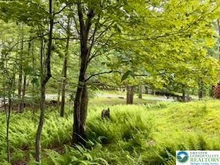 3641 Sequoia Dr, Middle Smithfield Twp, PA 18302 - view of tree filled area