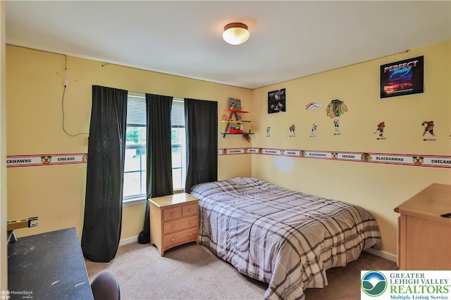 10 Windrift Ct, Easton, PA 18045 - bedroom featuring light colored carpet