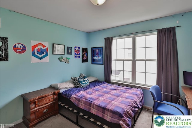 10 Windrift Ct, Easton, PA 18045 - carpeted bedroom featuring baseboards